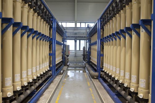 北京亦莊 綠色工廠數(shù)量領跑全市，技術開發(fā)驅動產業(yè)升級