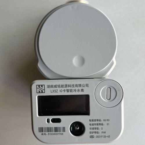 威勝威銘智能水表lxsz感應式 射頻卡冷水表dn20